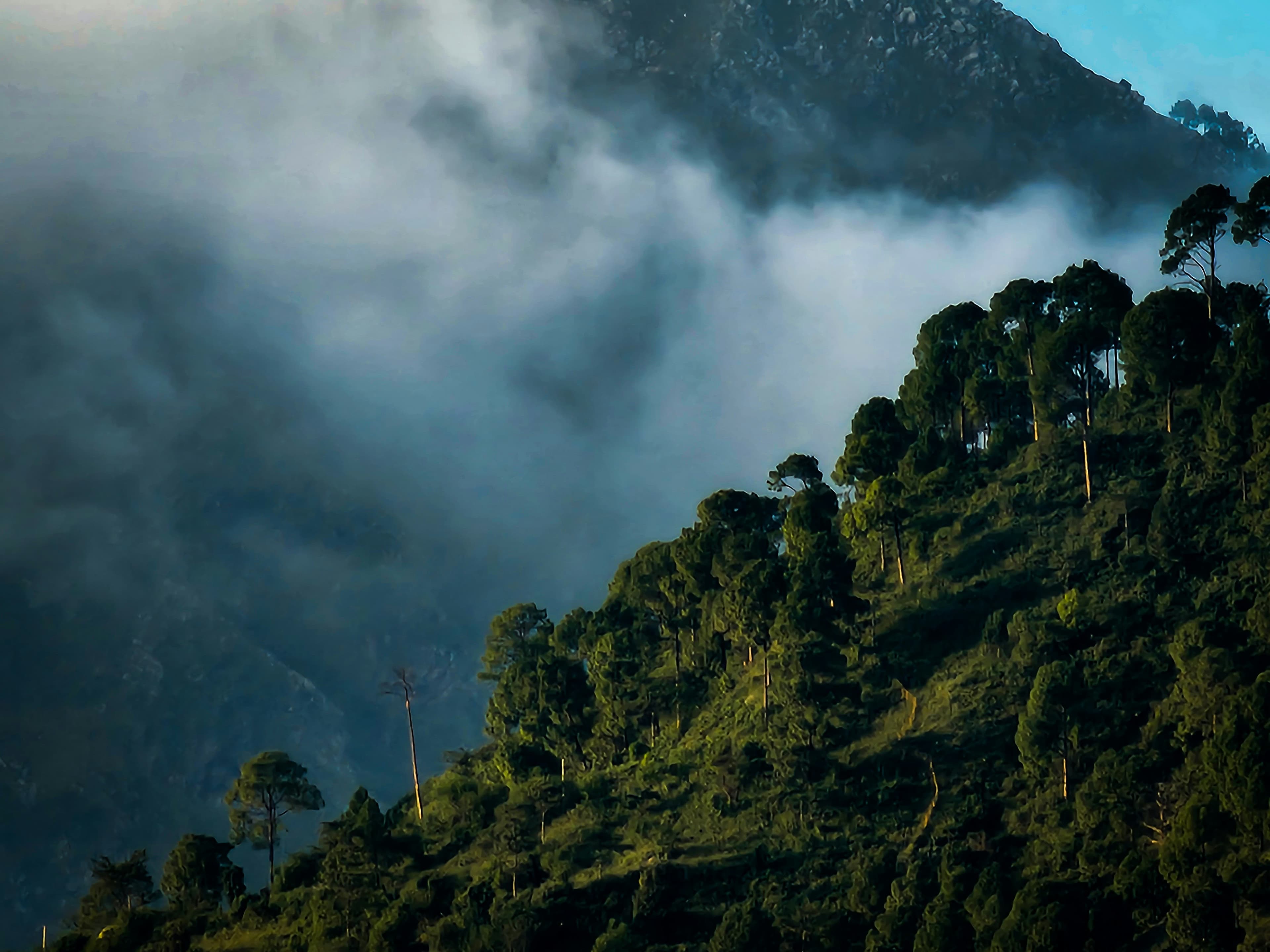 Vaishno Devi Backdrop 4